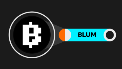 Analyzing Blum Premarket Price: What Investors Should Watch for Before Market Open