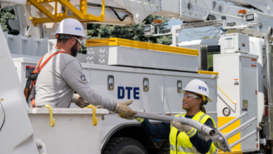 Why A Strong Electrical System Keeps Businesses Moving Forward By Powering Progress And Reliability