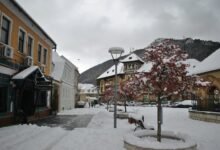 business assessment and analysis