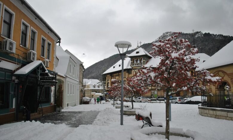 business assessment and analysis