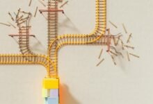 data analysis and strategy