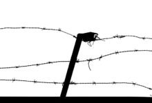 industry intelligence data overview