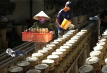 industry market data overview