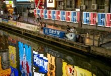 market activity signals analysis