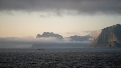 market analysis for codes