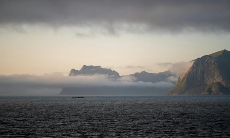 market analysis for codes