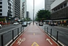 apex lane market path