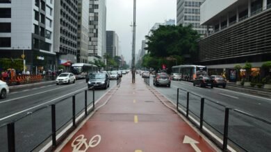 apex lane market path