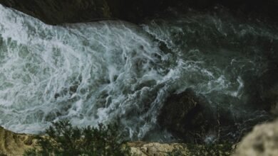 opportunity surge for nova