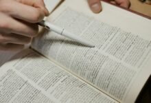 public lookup detailed review