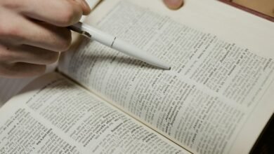 public lookup detailed review