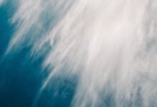 nyvejvejr features benefits uses