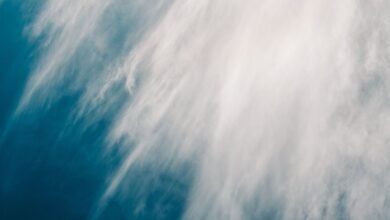 nyvejvejr features benefits uses