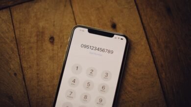 phone number with area code 5185879300
