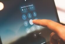 phone number with many digits 6988203281