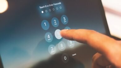 phone number with many digits 6988203281