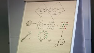 zobillizaz terminology stepwise breakdown