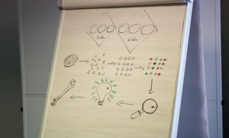 zobillizaz terminology stepwise breakdown
